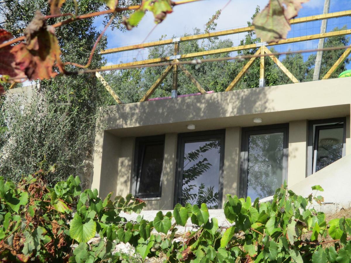 Vakantiehuis The Pool House